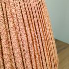 Red Milkwood Shade Close Up Johannesburg